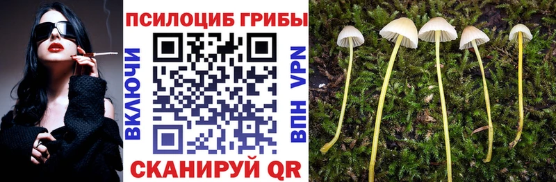 ссылка на мегу рабочий сайт  Дигора  Галлюциногенные грибы мицелий 